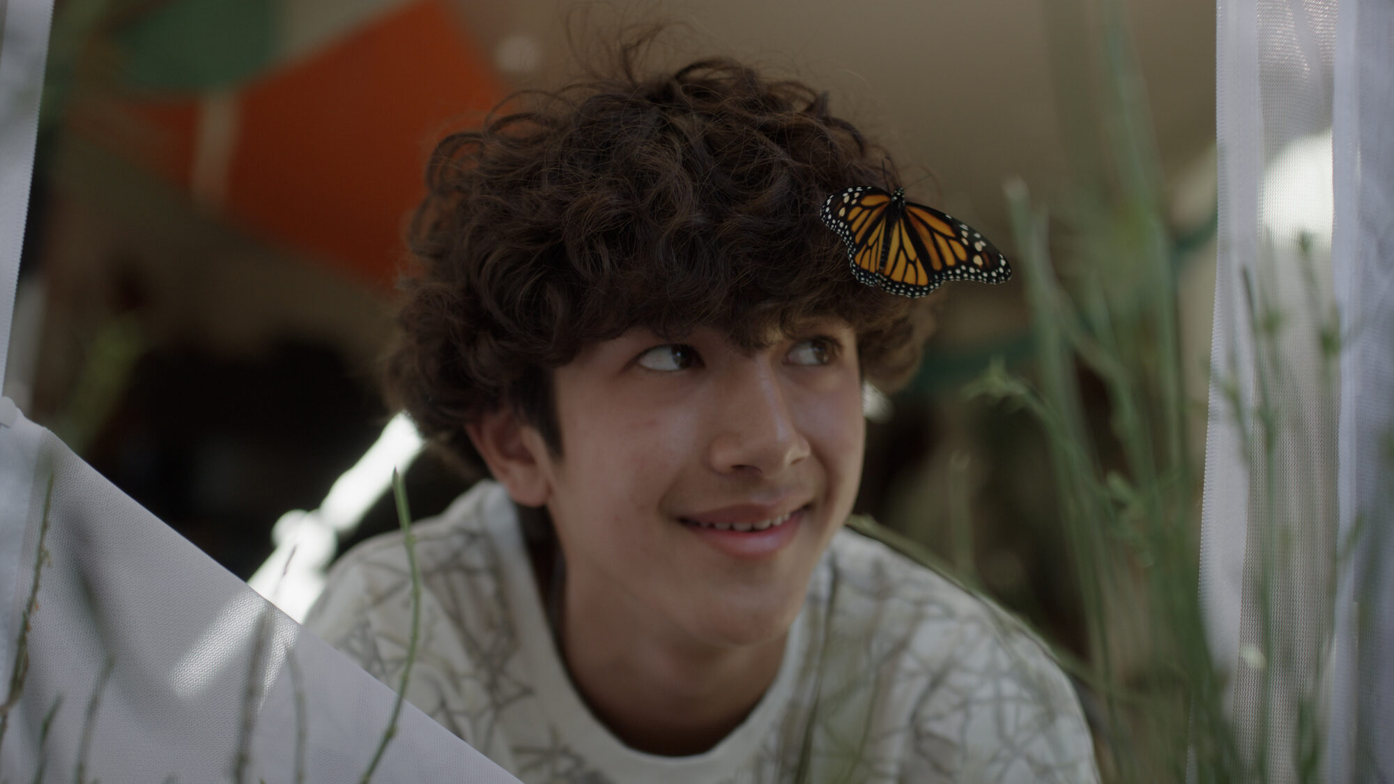 A monarch resting on Charlie's face
